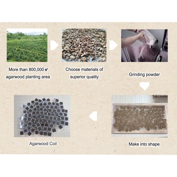 Rare Hainan Agarwood Incense Sticks For Meditation Spiritual Wellness Oud Incense Sticks