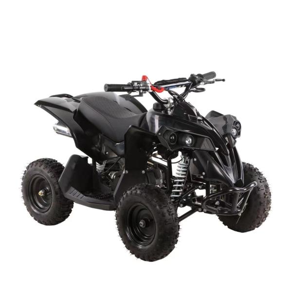 Mini Kids Quad Bike ATV with Automatic Chain Drive Transmission System and 49cc Engine