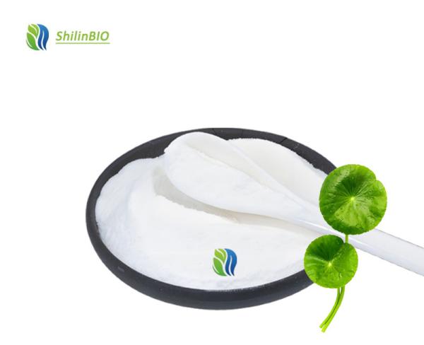 Gotu Kola Extract Powder 10% Triterpenoids