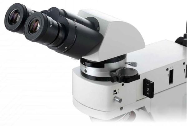 PL10X22mm Transmission Light Microscope 20x 50x Digital Polarizing Microscope