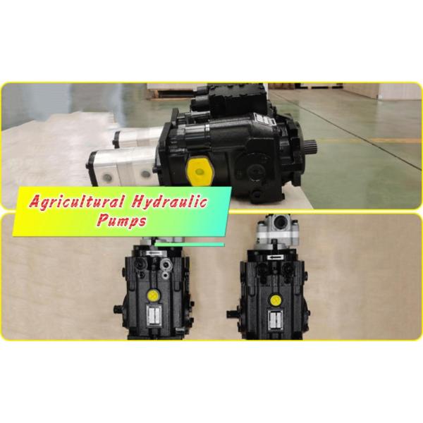 Heavy-Duty Axial Piston Pumps: Tapered Roller Bearings & Shaft Oil Seals
