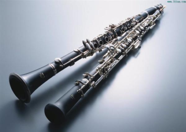 constansa Professional Performance Level 17 Keys Silver Plated Bb Tone Ebony Wood Clarinet High Quality Rose Ebony Wood