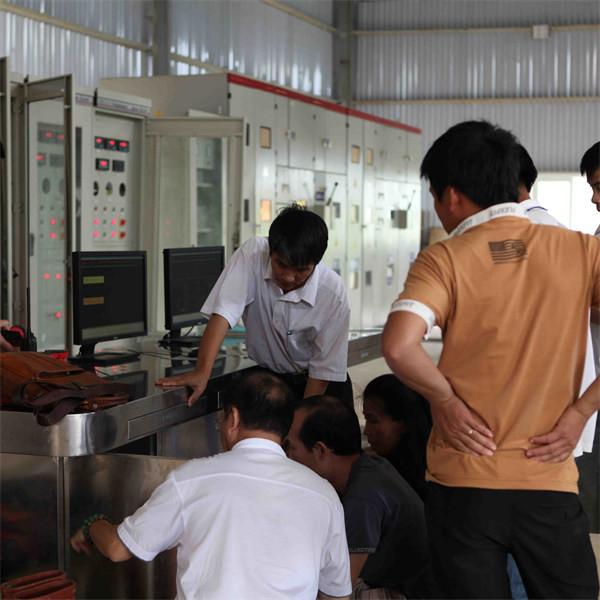 Automatic / Manual Operation Pelton Hydro Turbine Flow Rate 1-200 M3/S
