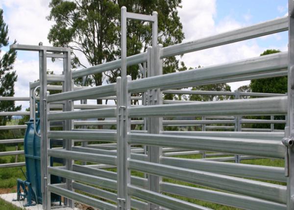 Smooth Surface Cattle Yard Panels , Lightweight Livestock Panels Anti Broken