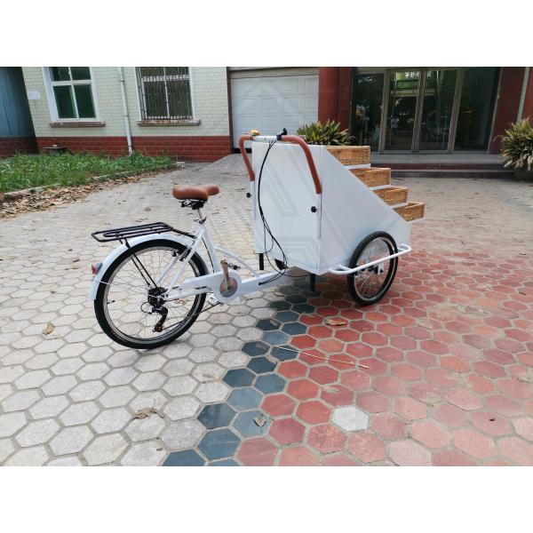 Outdoor Street Snack Bike Food Service Trailer Cart for Vegetable Food Cart Vending