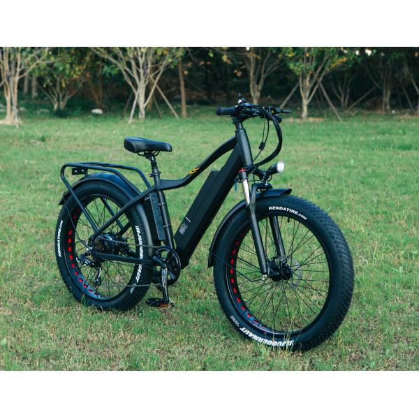 52V 1000W Bafang Motor 17AH Lithium 55KM/H Rear Hub Snow Fat Tire Mountain Electric Bike