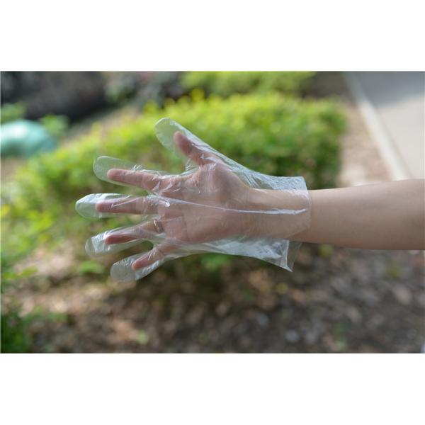 Перчатки руки доказательства масла 0.6g домочадца PE ежедневные устранимые