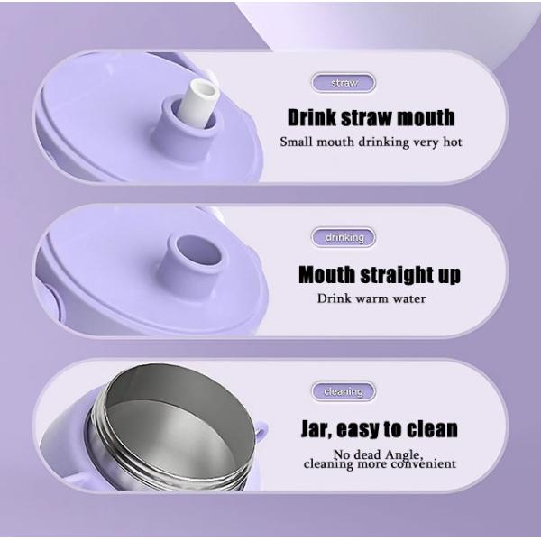Present Eco Friendly Custom Printed Thermal Double Wall Insulated Stainless Steel Water Bottle with Handle Lid