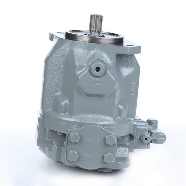 Drilling Rig Pump with Horizontal Pump Shaft Position A10vso100 by Directly