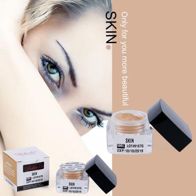 A composição semi permanente da pasta da sobrancelha pigmenta a tinta da tatuagem de Microblading da sobrancelha 3D