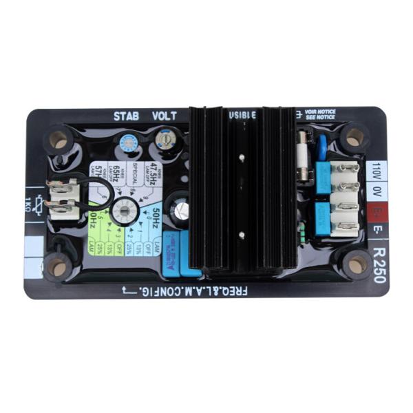 регулятор автоматического напряжения тока Лерой тома 0.001CBM Somer AVR R250