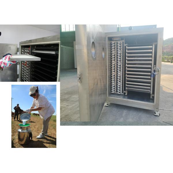 Automatic Operation Mode Vegetable Freeze Dryer Featuring 304 Stainless Steel Trays and PLC Control System for Vegetable Drying