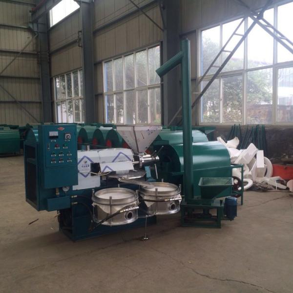 1600*1300*1750 mm Cold Pressed Oil and Diesel Screw Pressing Machine for Home Manual