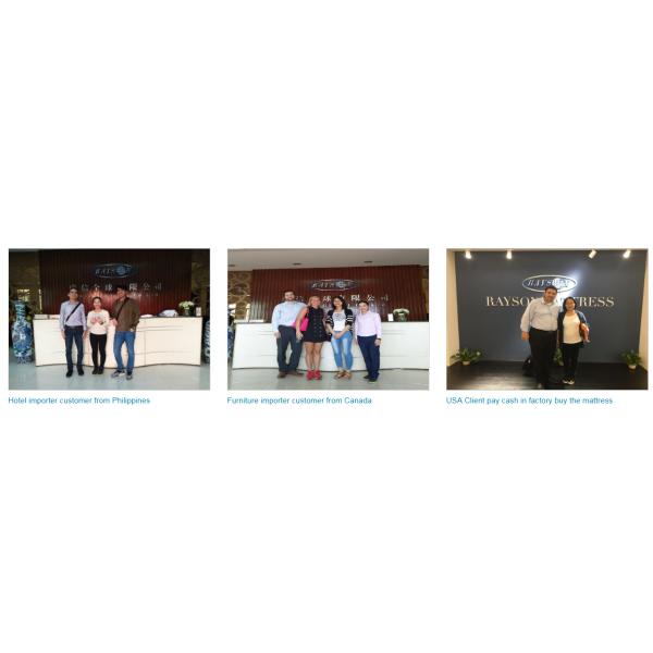 загружает raysonglobal.com.cn/images/15688112261244.png Тюфяк весны кармана белого размера ферзя гибридный с двойной сетью кровати весны