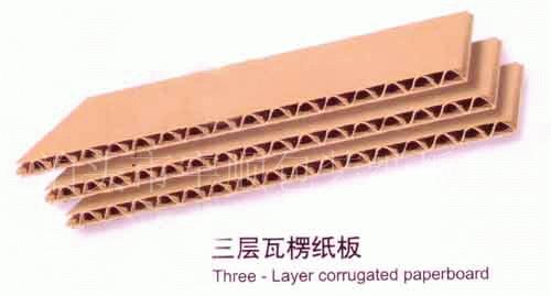 Paperboard Carton Packing