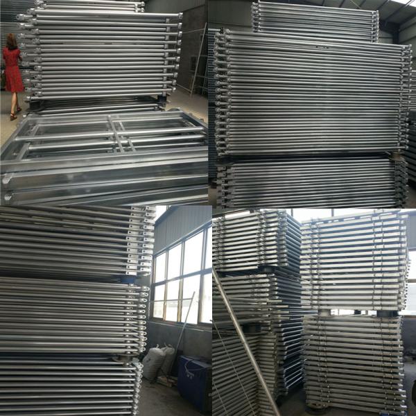 30*60*1.6mm Oval Pipe economic Full Welded Used Horse Corral Panels For Farm
