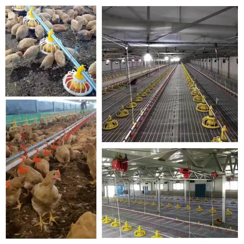 Quick Cleaning Automatic Pan Feeding System For Broiler Poultry Farms