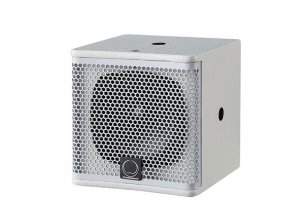 100W RMS Full Range Speaker