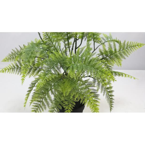 Tabletop 52cm Artificial Fern Bonsai With 5 Inch Black Plastic Pot