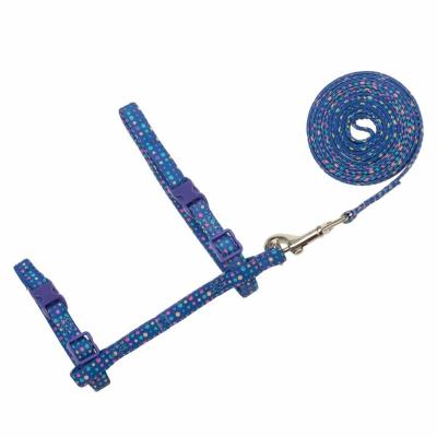 Cat Harness Collar com grupo da trela - projeto da forma com tela feito à mão