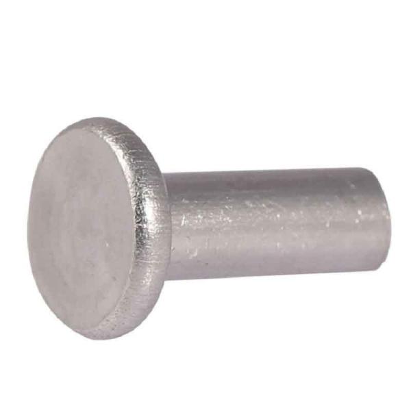 Aluminum Stainless Steel Solid Rivets Grade 6.8 Flat Head 3-6mm ODM