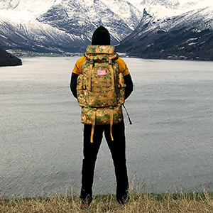 70l Camping Hiking Backpack Molle Rucksack Waterproof Travel Daypack