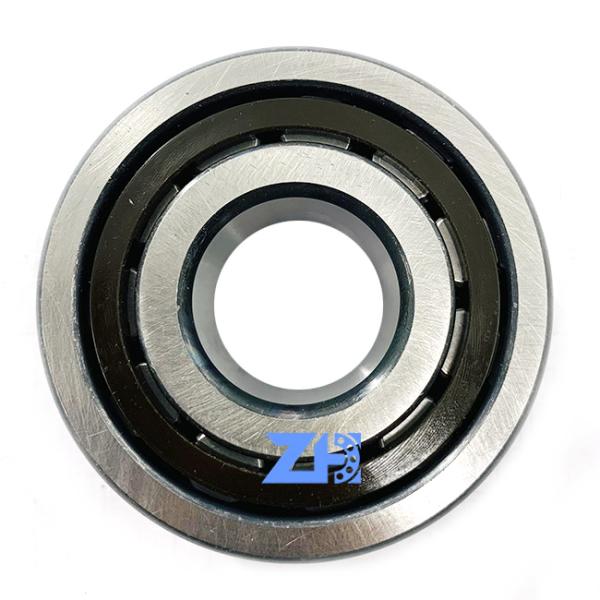 Клетка 25x62x24 mm полиамида подшипника ролика одиночной строки NJ2305ET2X цилиндрическая