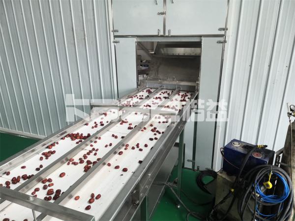 Industrial Mesh Belt Conveyor Dryer Machine Dry Fruit Slicing Machine For Vegetable