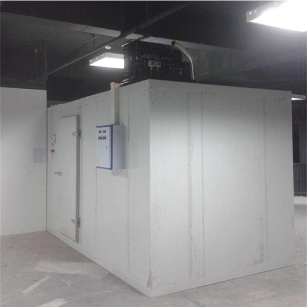 Caminhada comercial de Copeland SS 304 do refrigerador de ar no congelador