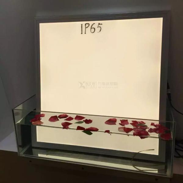 600x600mm IP65/IP67 Waterproof High Lumen swimming pool washroom bathroom 48W LED Panel Lights LED light