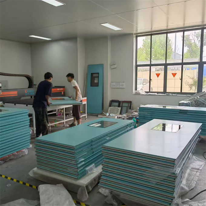 900*2100 Modern Cleanroom School Thermal Insulation Side Opening Swing Steel Doors