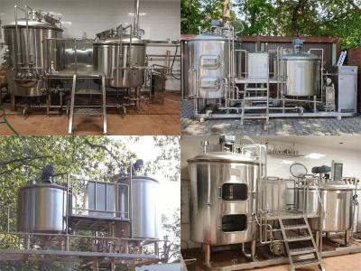 Equipamento de aço inoxidável da fabricação de cerveja de cerveja do equipamento 200L 300L 500L da cervejaria da cerveja