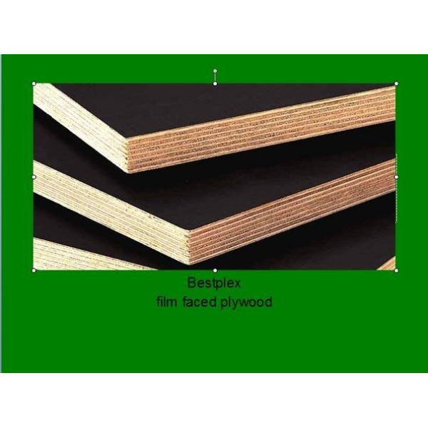 constrution plywood with combi core