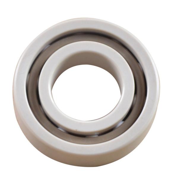 White Precision 25×52×15 6002 Hybrid Ball Bearings