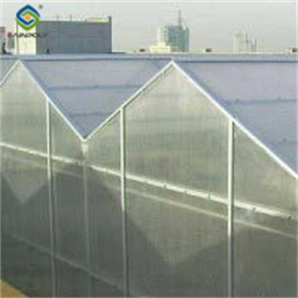 Agricultural Polycarbonate Multi Span Greenhouse Venlo Style 30-60m Length