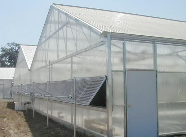 Polycarbonate Multi Span Plastic Film Greenhouse Plastic Tomato Greenhouse OEM