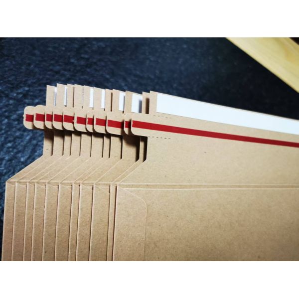 file Folder, kraft paper bag, easy tear, customized