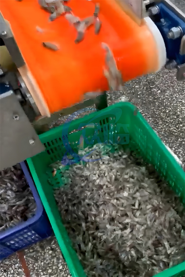 1000KG/H-1500KG/H Shrimp Separator Machine 380V 3P 50HZ Seafood Processing Line