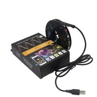 AC220V 10m DC12V fléchissent le kit de lumière de corde de lumière de bande de LED