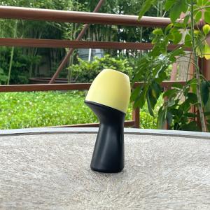 Bouteilles de parfum à rouleaux rechargeables de forme spéciale Bouteilles à rouleaux en plastique pour mélanges d'aromathérapie