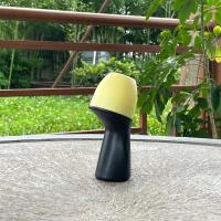 Special Shape Refillable Roll-On Perfume Bottles Plastic Roll-On Bottles For Aromatherapy Blends