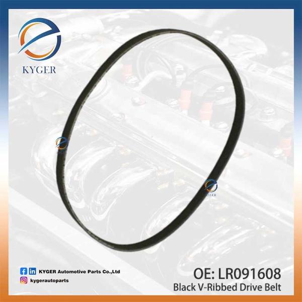 Ceinture de conduite en V à côtes noire LR091608 LR184662 C2D49052 pour Land Rover Discovery III Range Rover Sport Range Rover Evoque