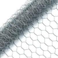 Fil hexagonal Mesh Pvc Coated Anti Corrosion de poulet d'Iron BWG27 de barrière