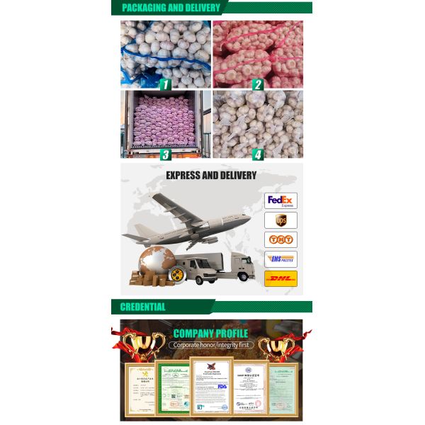 Wholesale Fresh Natural Fresh Garlic Organic Garlic Perfect for Cooking and Seasoning