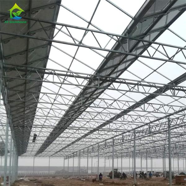 Modern intelligent Venlo polycarbonate panel multi-span solar photovoltaic greenhouse