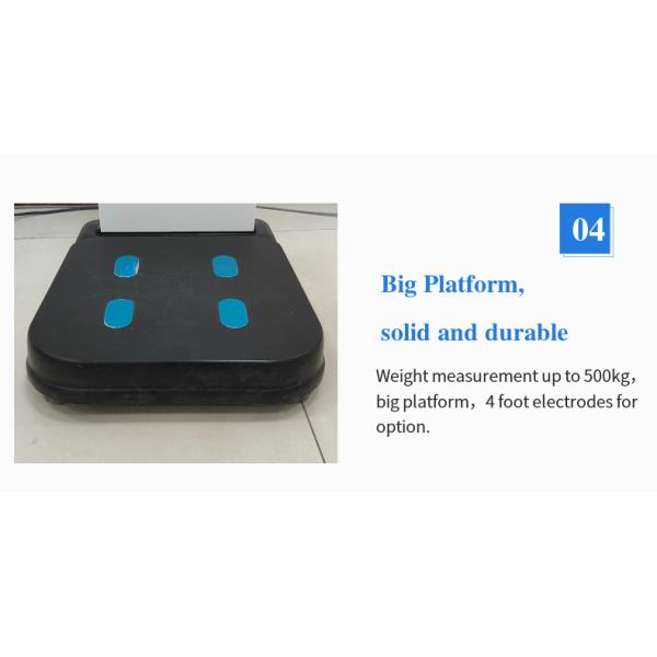 19 Inch LCD Touch Screen End Steel Body Analyzer Machine for Android Health Checkup