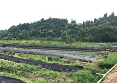 Tela biodegradável não tecida hidrófila 50cm ~ largura de 200cm para a vegetação rasteira