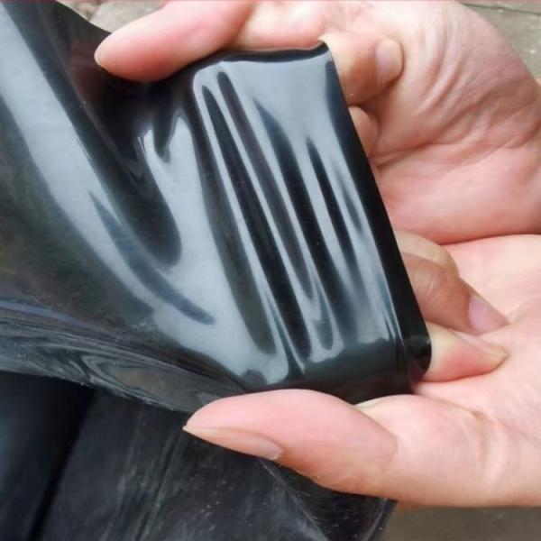 Modern Design Durable Geomembrane Pond Lining 1mm 2mm Waterproof for Industrial Ponds