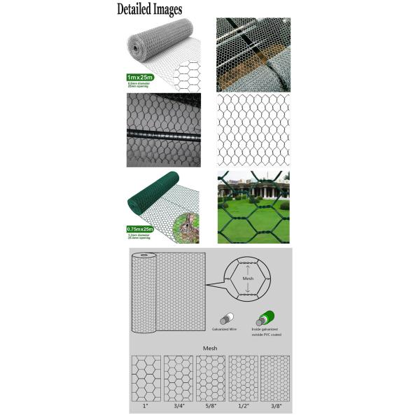 13,7 x 80 шестиугольного дюймов порошка зеленого цвета сетки Gabion покрыли гальванизированный