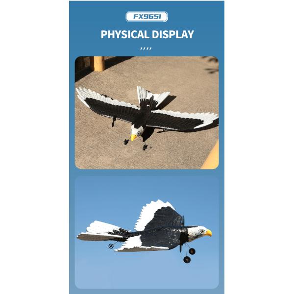 Features RTF 3ch Epp Foam Rc Simulation Wingspan Bald Eagle 2.4g Rc Glider Airplane Toys with 14 Years up Age Range